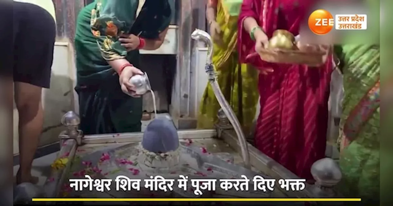 Nag Panchami Puja: भक्तों ने नाग देवता को चढ़ाया दूध, शिव मंदिर में पूजा-अर्चना करते दिखे लोग