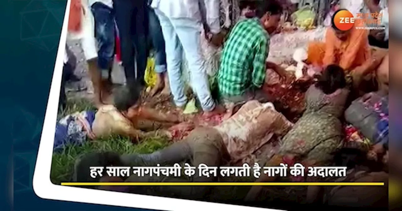 VIDEO: सांपों की तरह रेंगकर आते हैं लोग, यहां लगती है नागों की सबसे बड़ी आदलात