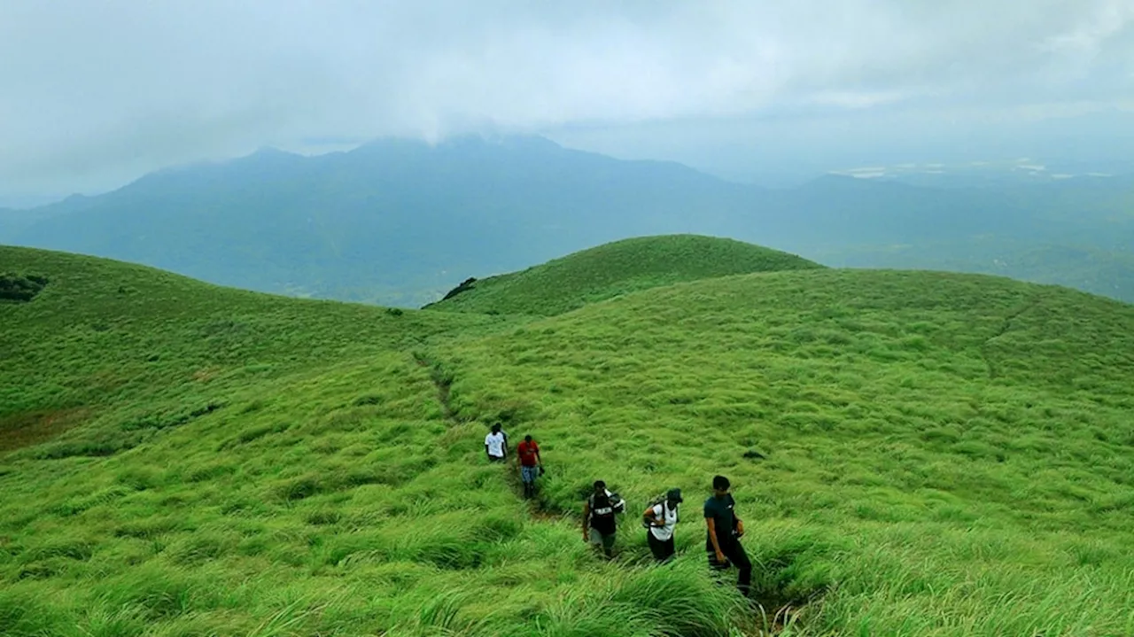 Wayanad: വയനാട് നെന്മേനിയിൽ ഭൂമിക്കടിയിൽ നിന്ന് ശബ്ദം കേട്ടതായി നാട്ടുകാർ; ഭൂചലനമെന്ന് സംശയം, ജനങ്ങളെ ഒഴിപ്പിക്കുന്നു