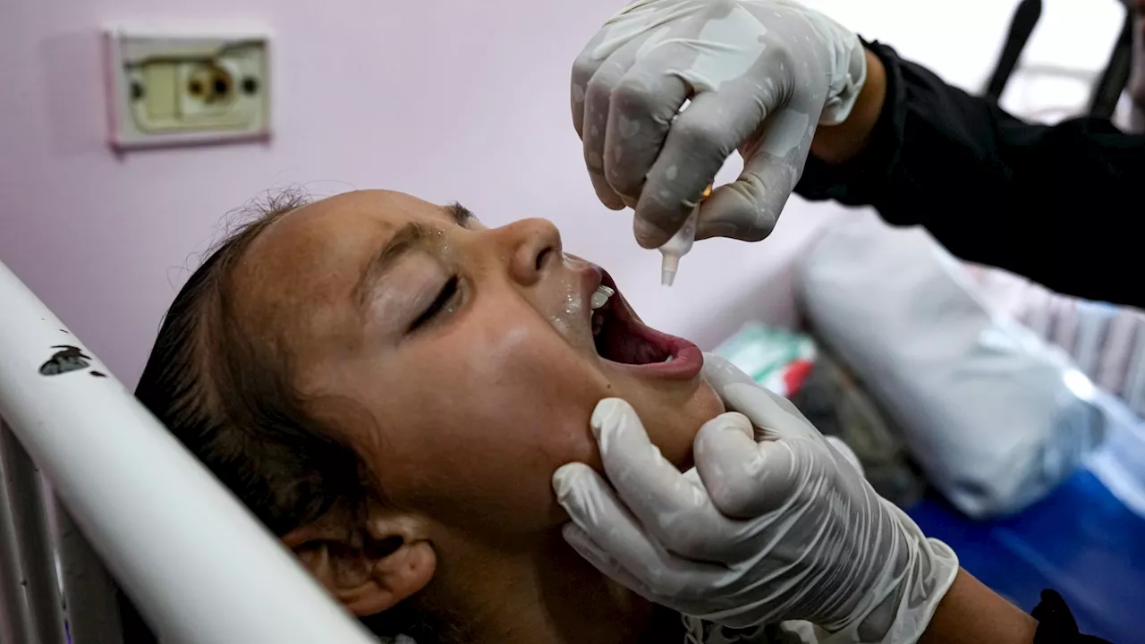 Health authorities begin large-scale polio vaccinations in war-ravaged Gaza