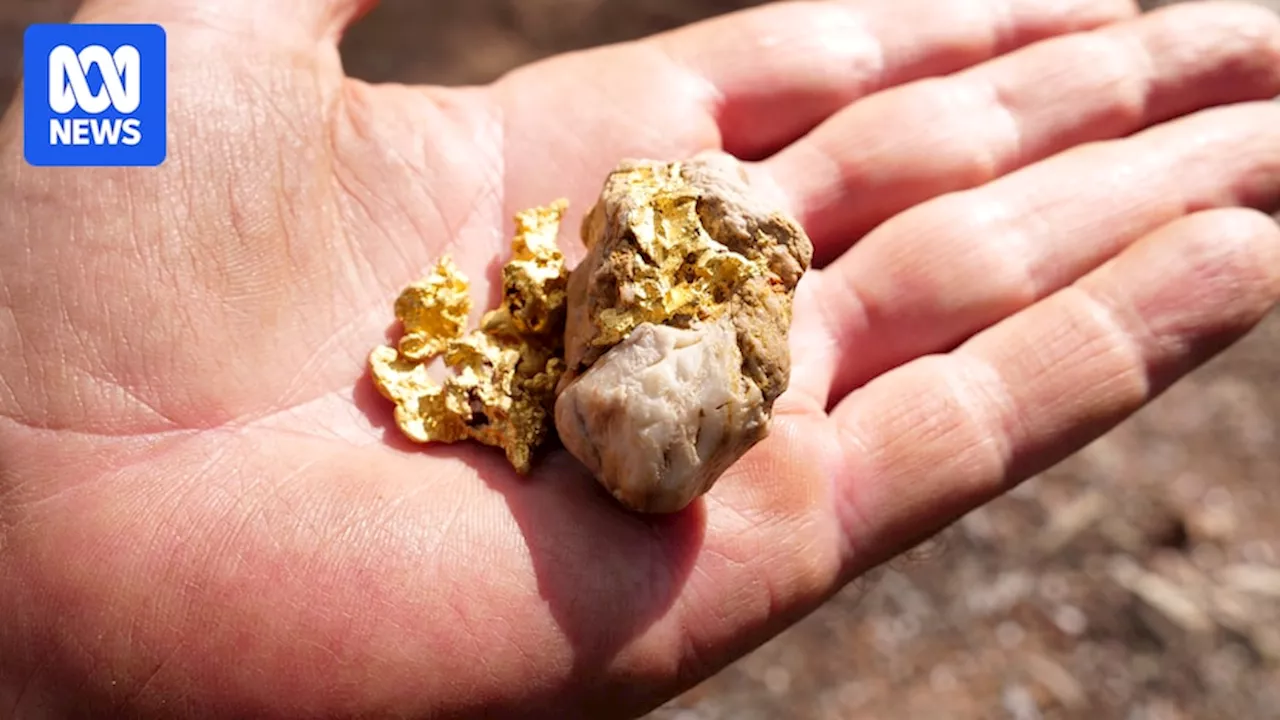 Tourists with gold fever fossick in central Queensland as metal price climbs