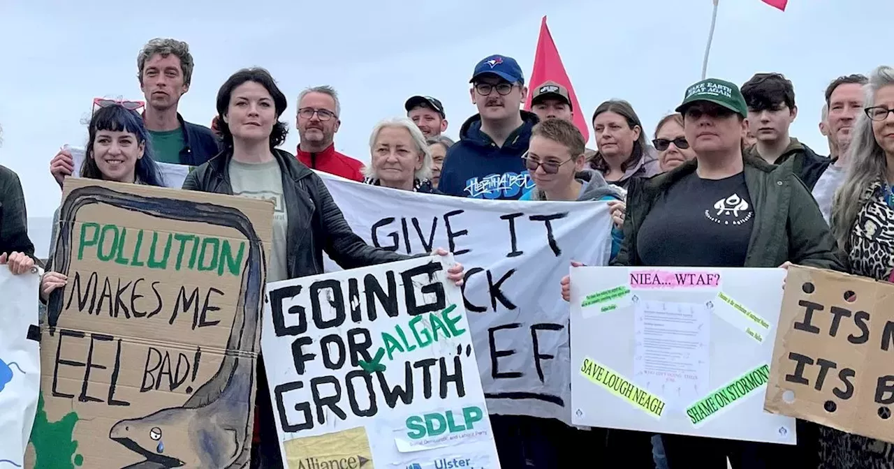 Lough Neagh activists call for urgent action to tackle environmental crisis