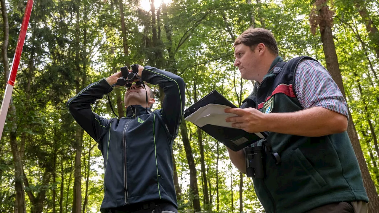 Freising: Wegen des starken Regens! Wald in Bayern atmet auf