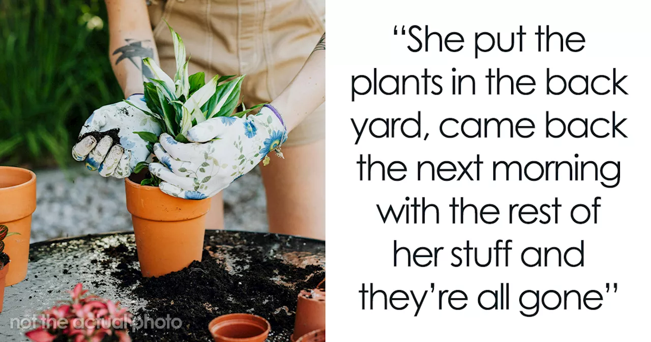 Neighbors Steal Plants From Woman’s Property, Blatantly Display Them In Their Front Yard