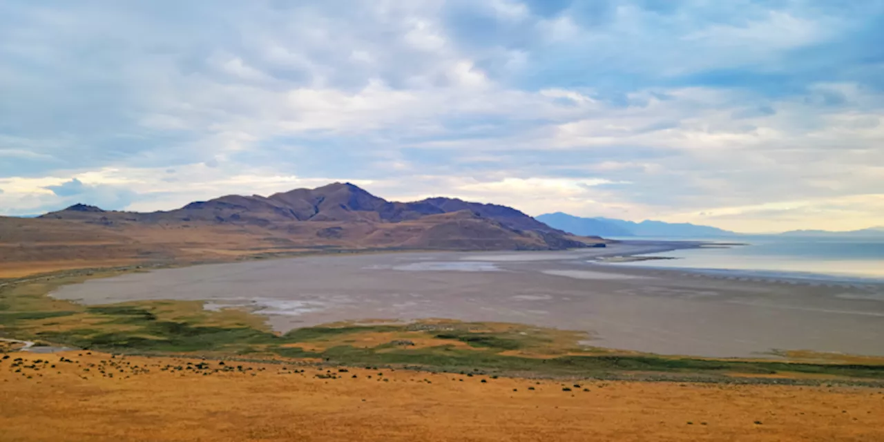 We Can’t Let The Upcoming Harris Administration Put Cleantech On The Back Burner