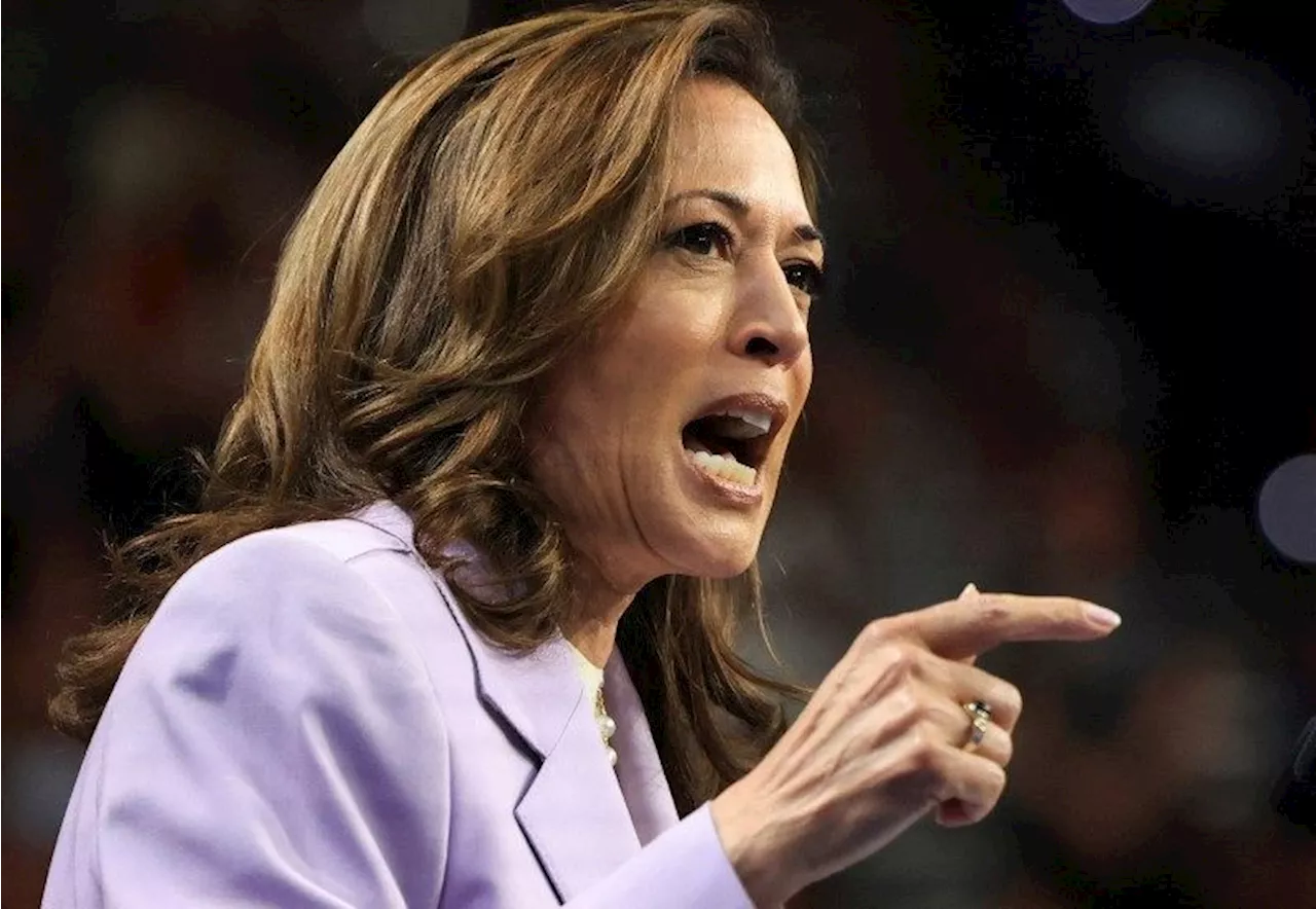 Kamala Harris critica posição de Trump sobre aborto na Flórida