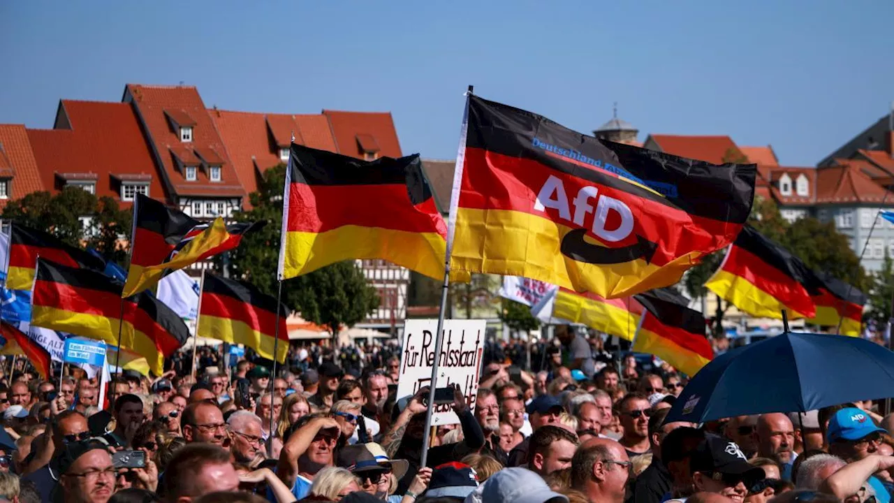 Elezioni in Germania, i risultati in diretta | Afd vince in Turingia, in Sassonia avanti la Cdu