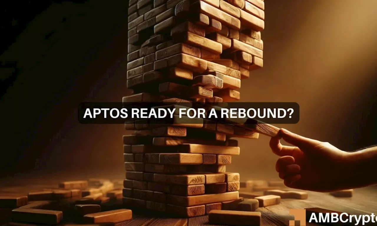 Aptos: Here’s how traders can capitalize on APT’s recent volatility