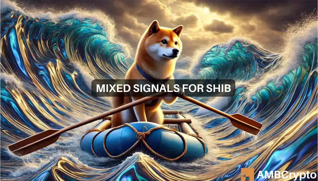 Shiba Inu price prediction – Assessing the possibility of SHIB hitting new local low