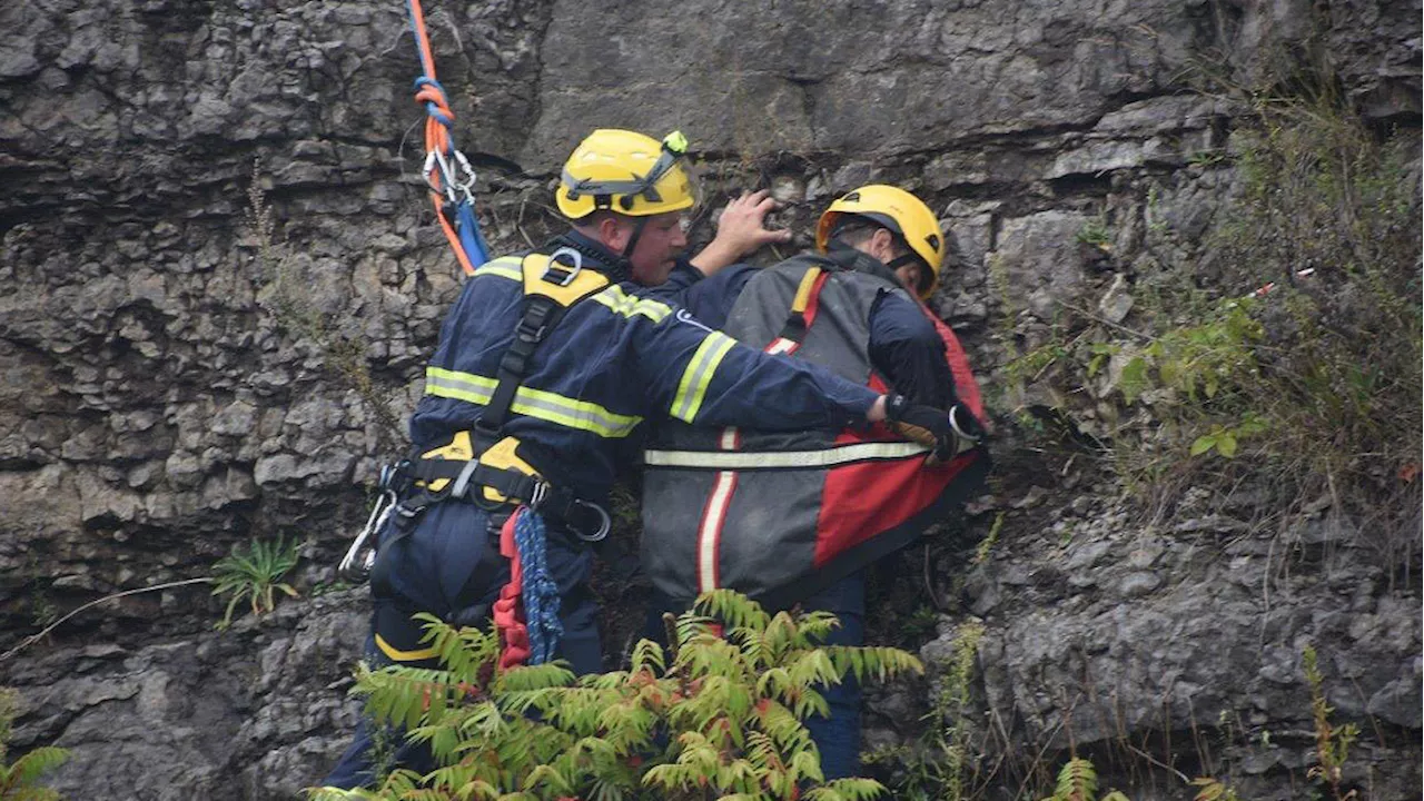 Ottawa firefighters rescue person stuck on a cliff near Alexandra Bridge