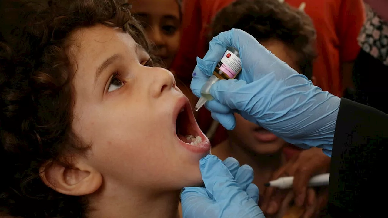 Stridspaus i Gaza när hundratusentals barn ska vaccineras