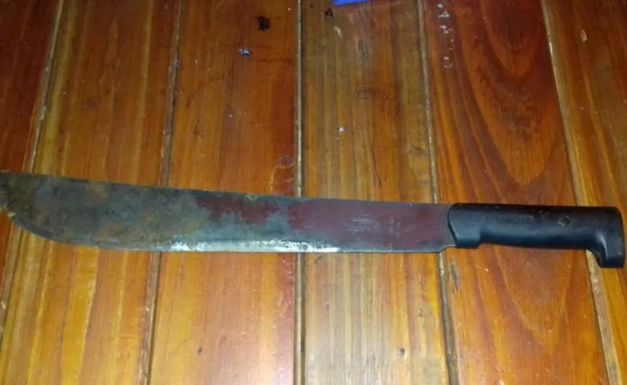 Una joven resultó herida con un machete durante una riña en Bagojo Colectivo, Sinaloa