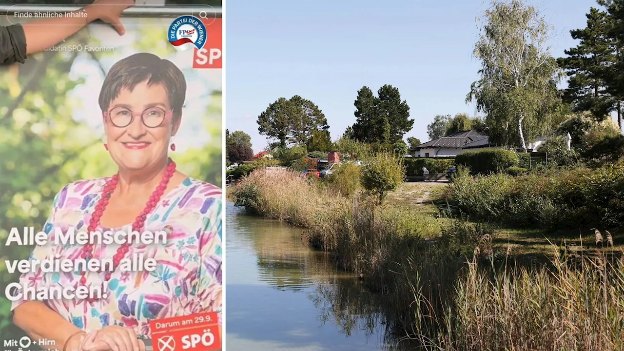  Peinliches Wahl-Plakat: FPÖ blamiert SPÖ-Kandidatin