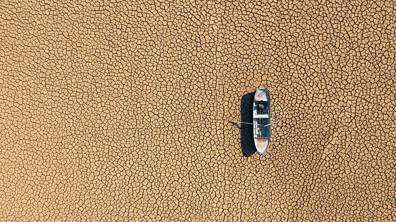 How one startup is using AI to cool a warming world