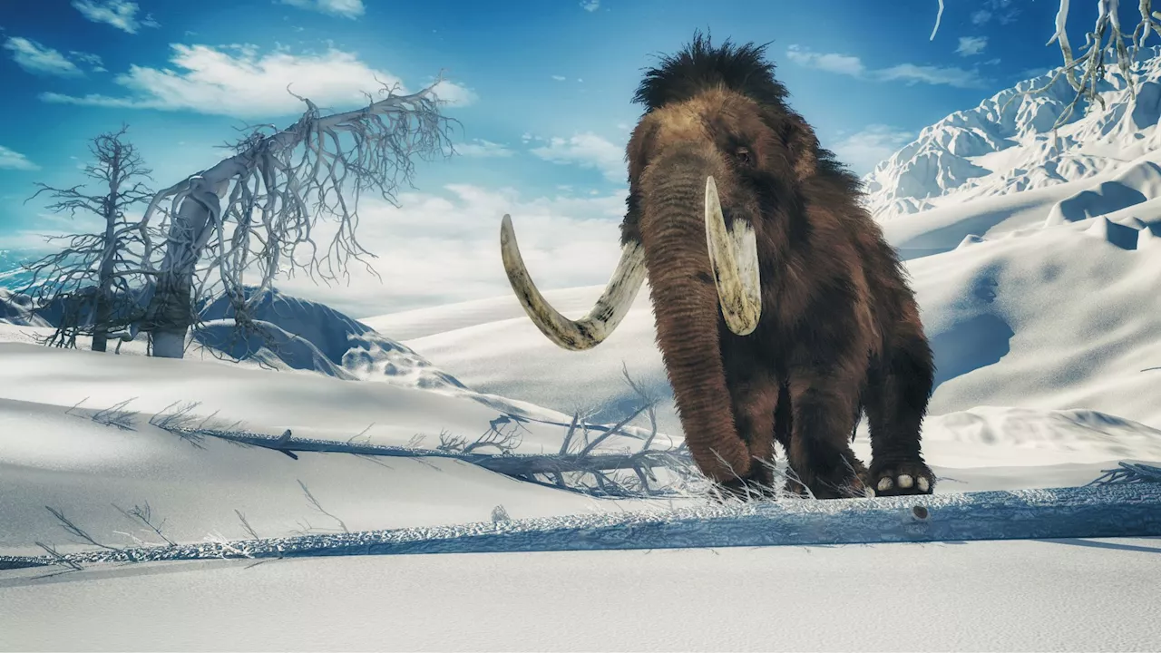 Woolly mammoth could come into existence for real, elephant’s gene to be modified