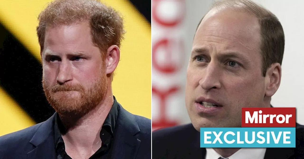 Prince William in 'difficult' realisation about his brother Harry, claims expert