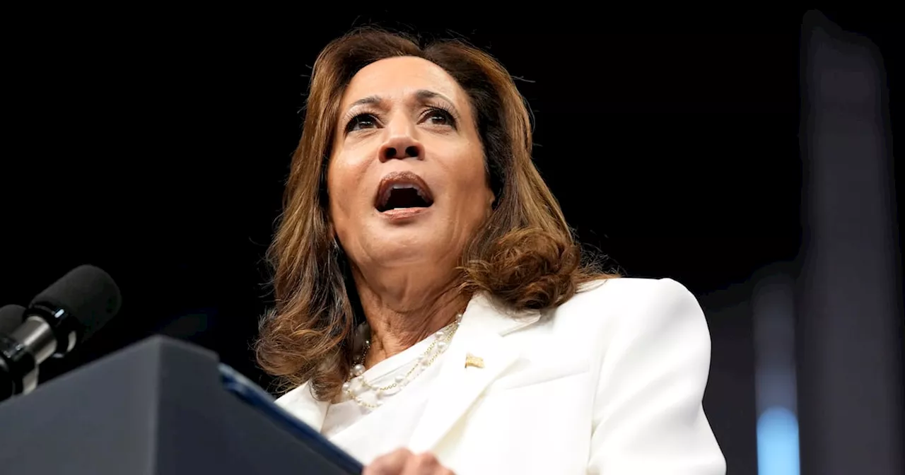 Kamala Harris says Donald Trump ‘disrespected sacred ground’ at Arlington event