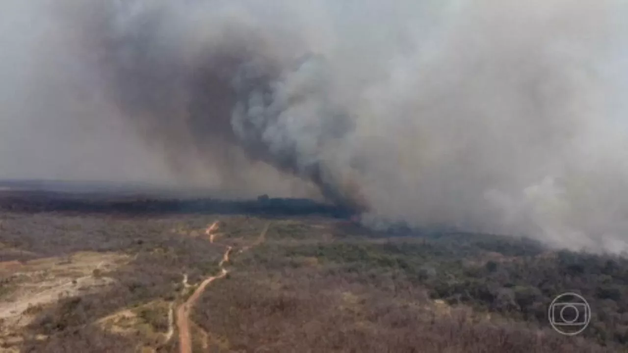 Em Mato Grosso, fogo já destruiu 10 mil hectares da Chapada dos Guimarães