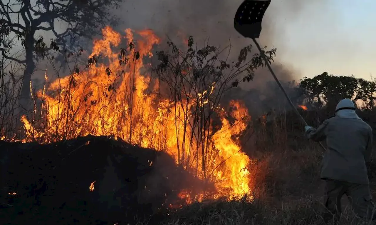 Queimadas persistem na Amazônia; cidades do PA superam 1 mil focos