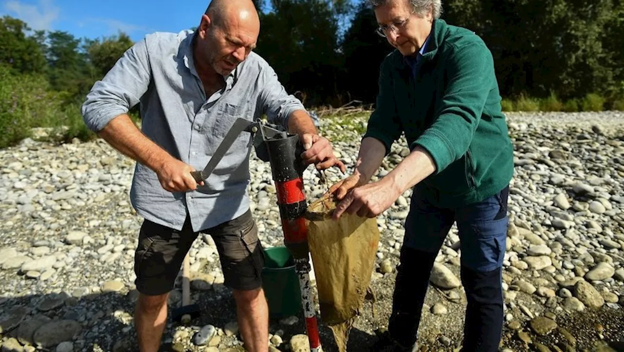 France: à la recherche de la stygofaune, ces espèces souterraines témoins de la qualité des eaux