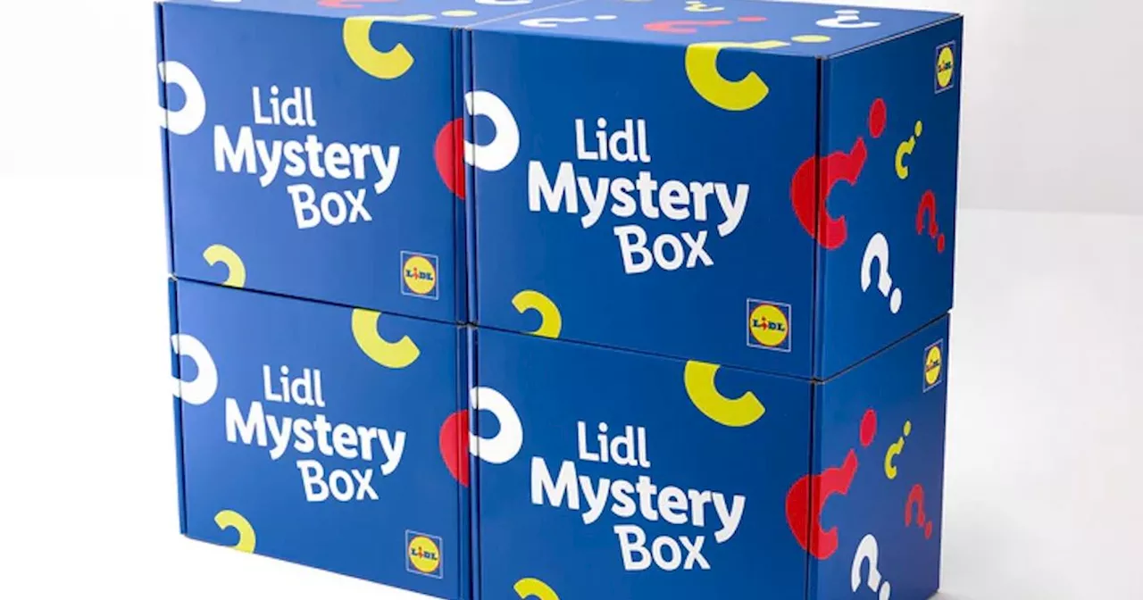 'I got Lidl's £20 Mystery Box and I feel so lucky with what was inside'