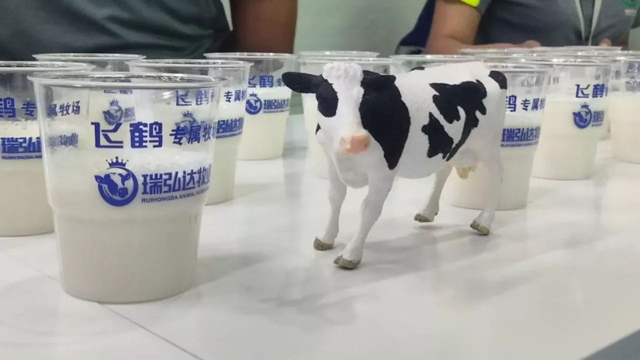 6 Fakta tentang Produsen Susu di China, Punya Peternakan Pintar hingga Produksi Susu Dalam 2 Jam