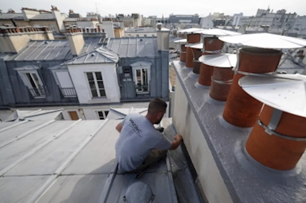 Amid climate change challenges, iconic Paris zinc roofers seek Unesco heritage recognition