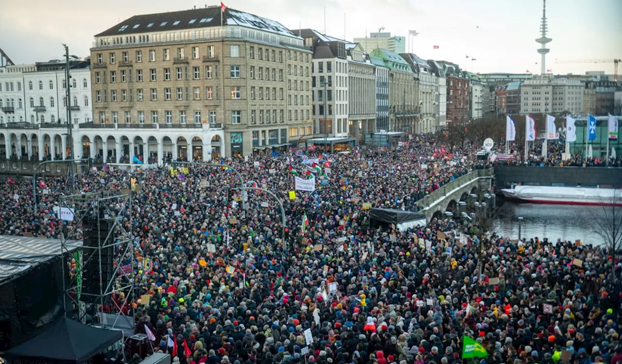 „Antifa in die Offensive“: Anti-AfD-Demos in Hamburg – damit rechnet die Polizei