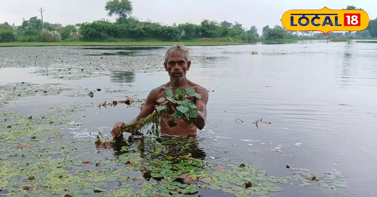 लीज पर जमीन लेकर दिहाड़ी मजदूर ने शुरू की यह खेती, बदल गई तकदीर! आज लाखों में कमा रहा मुनाफा