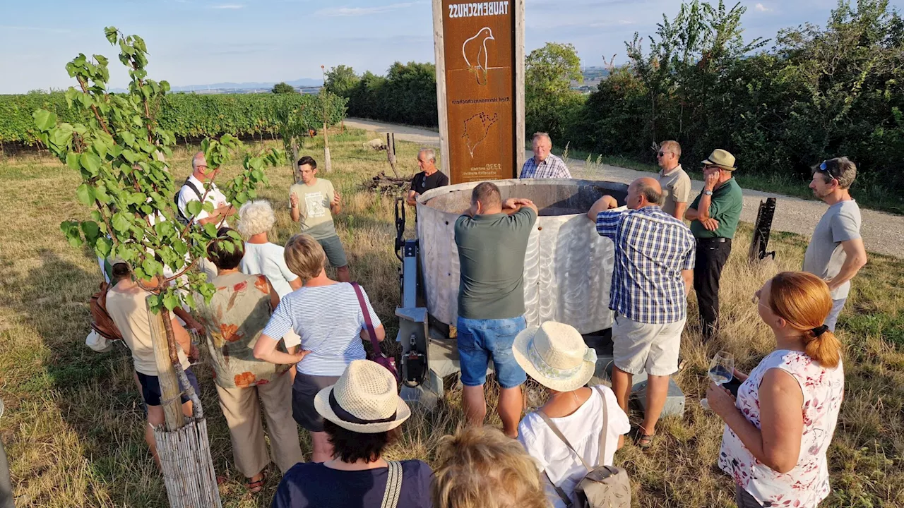 Enkeltaugliche Landwirtschaft im Fokus der Poysdorfer Kellerakademie