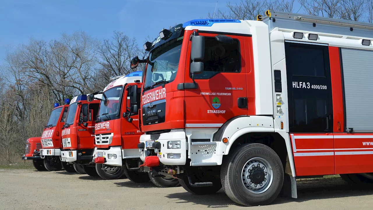 Sechs Feuerwehren bei Vegetationsbrand in Strasshof im Einsatz