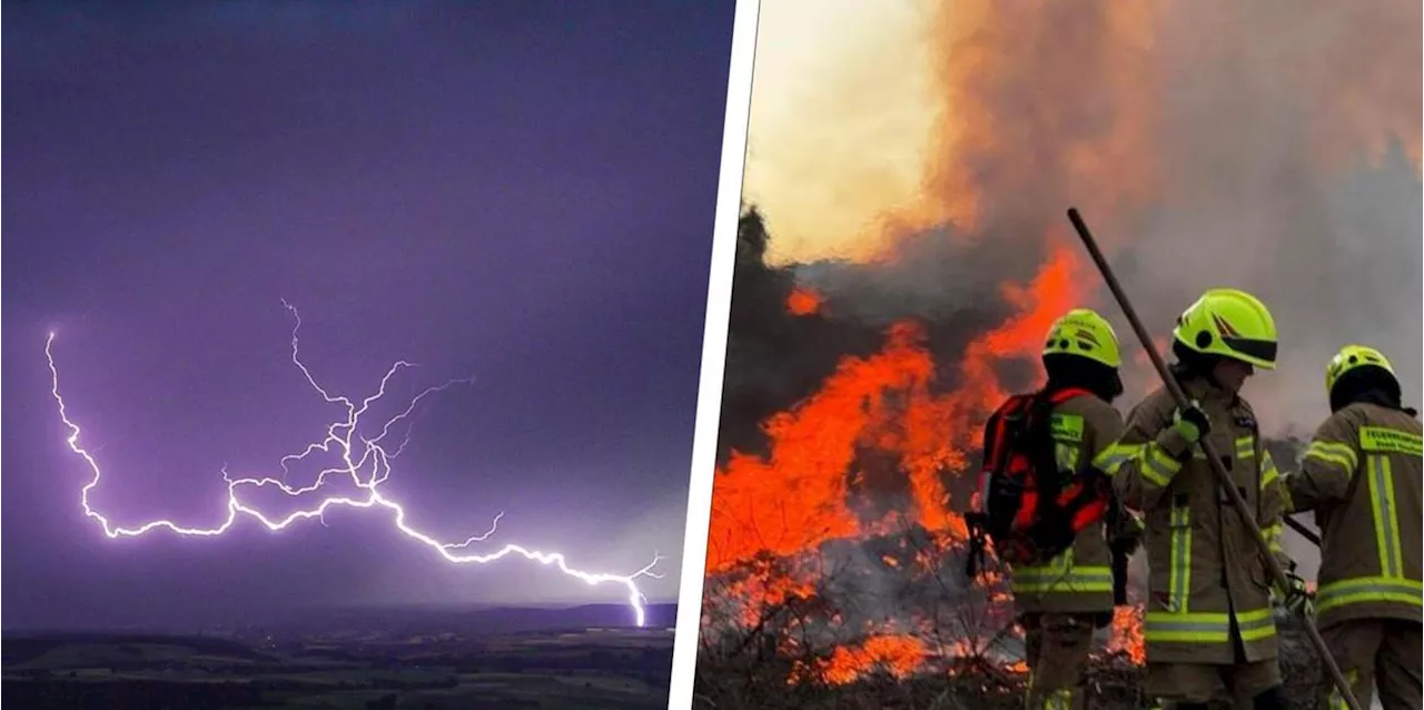 Gewitter rollen nach Hitzewelle auf Bayern zu - DWD warnt in Franken vor Waldbr&auml;nden