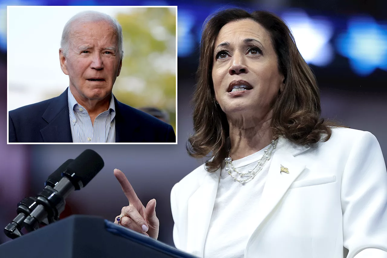 'Abandon Harris' campaign tries to swing Muslim-Americans against veep in key swing states