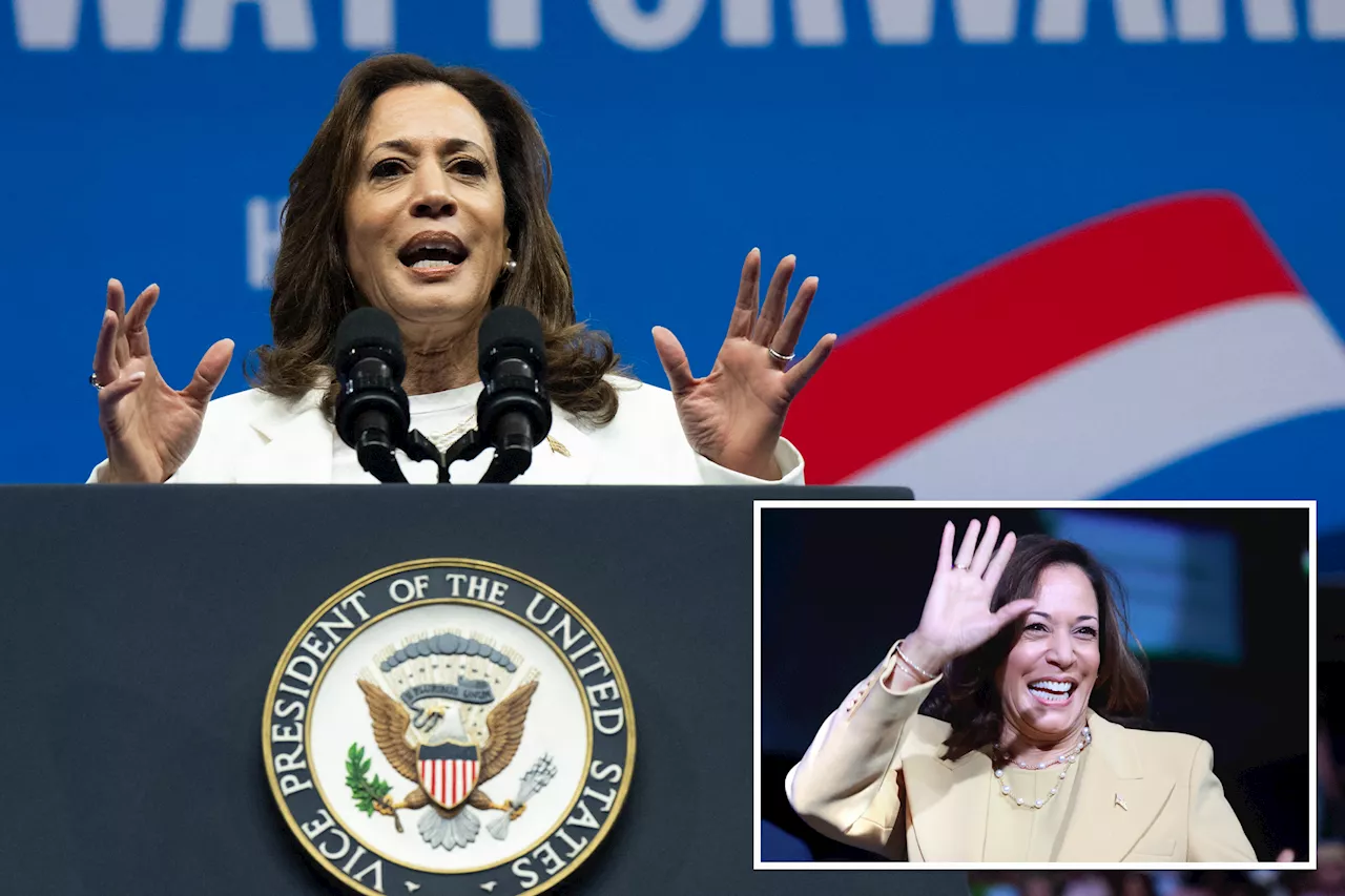 Not even Kamala Harris' biggest fans can say what the flip-flopping VP stands for