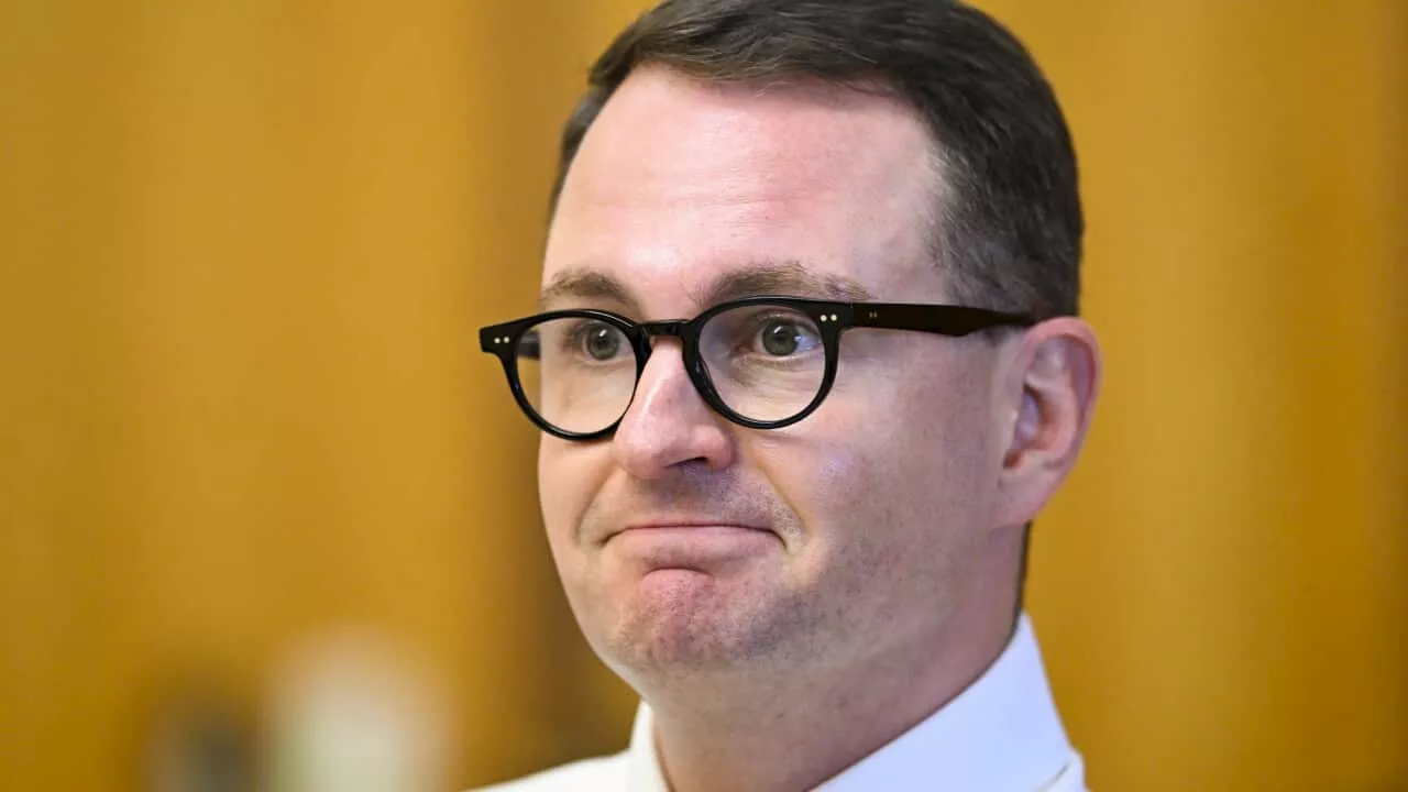 'Tied himself in knots': Liberal senator criticises Albanese and backs LGBTIQ+ Census push