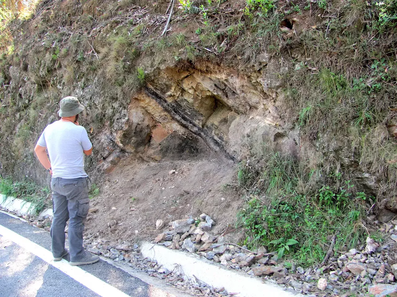 Fóssil raro com cerca de 300 milhões de anos encontrado na região do Bussaco