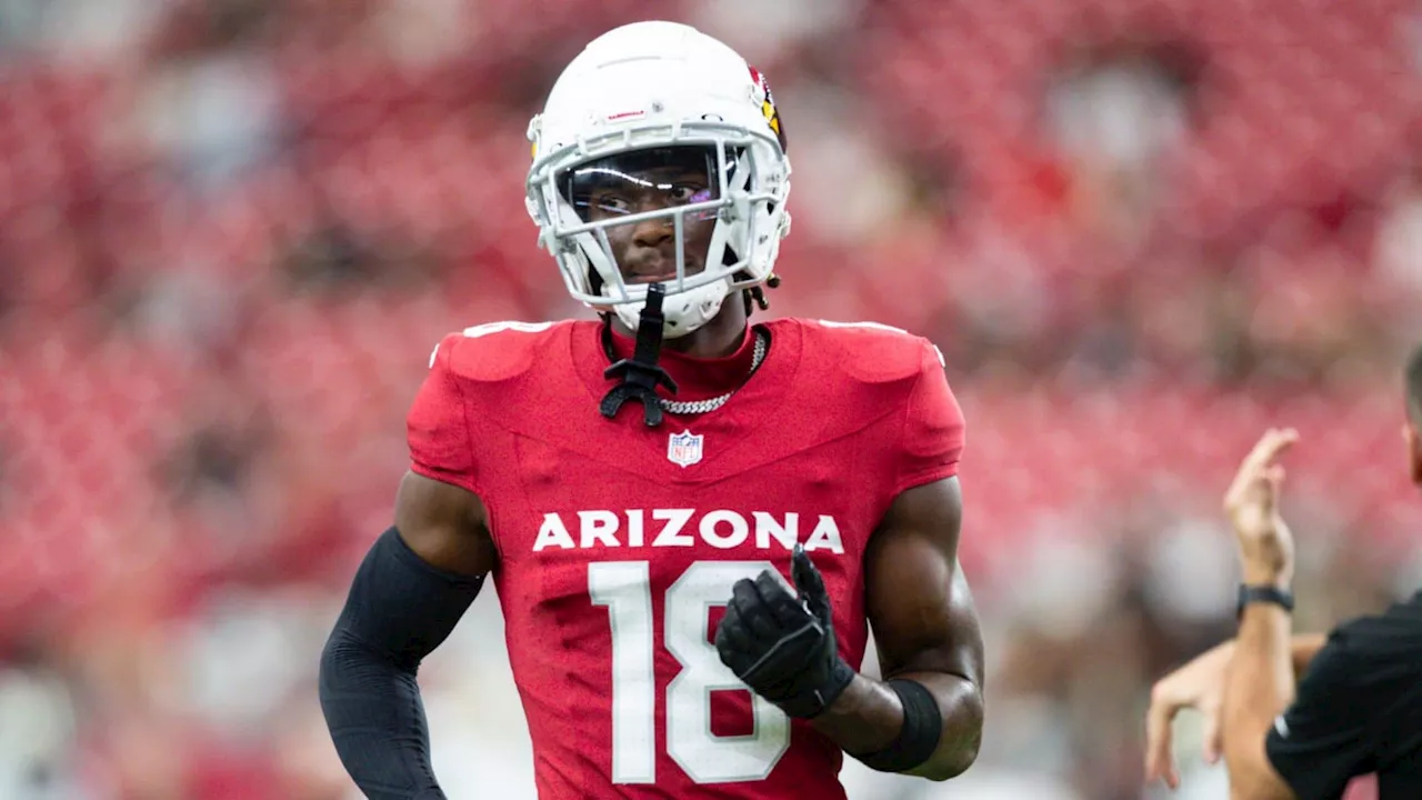 Arizona Cardinals WR Projects as Runner-Up in Rookie Awards