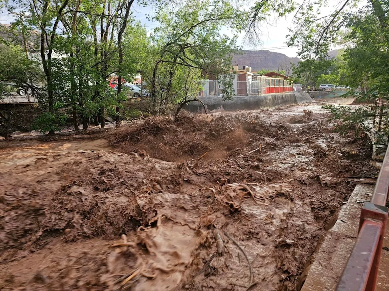 Terry Tempest Williams: When the flash flood comes with godlike velocity, why do I stay and watch?