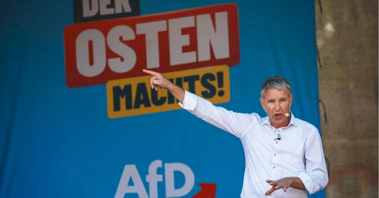 Slogan nazi, remigrazione e complotti: Höcke, l’estremista che spaventa l’Europa