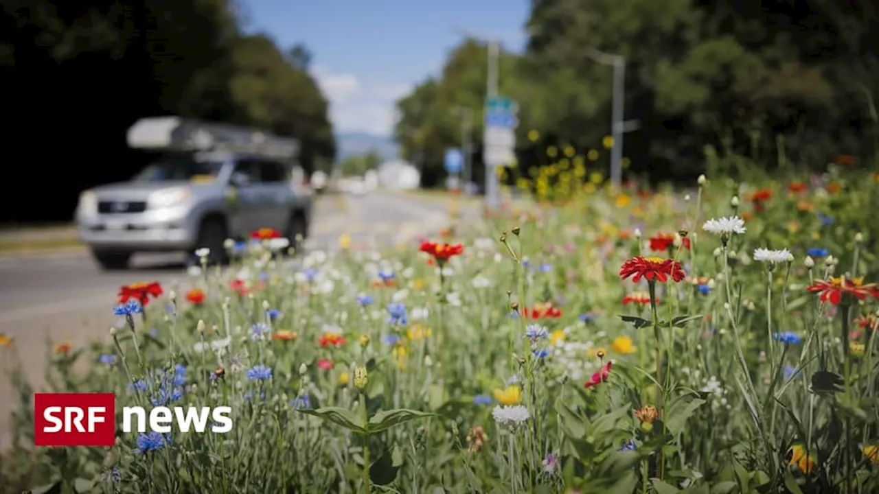 Abstimmungen: Die Biodiversitäts-Initiative in Kürze