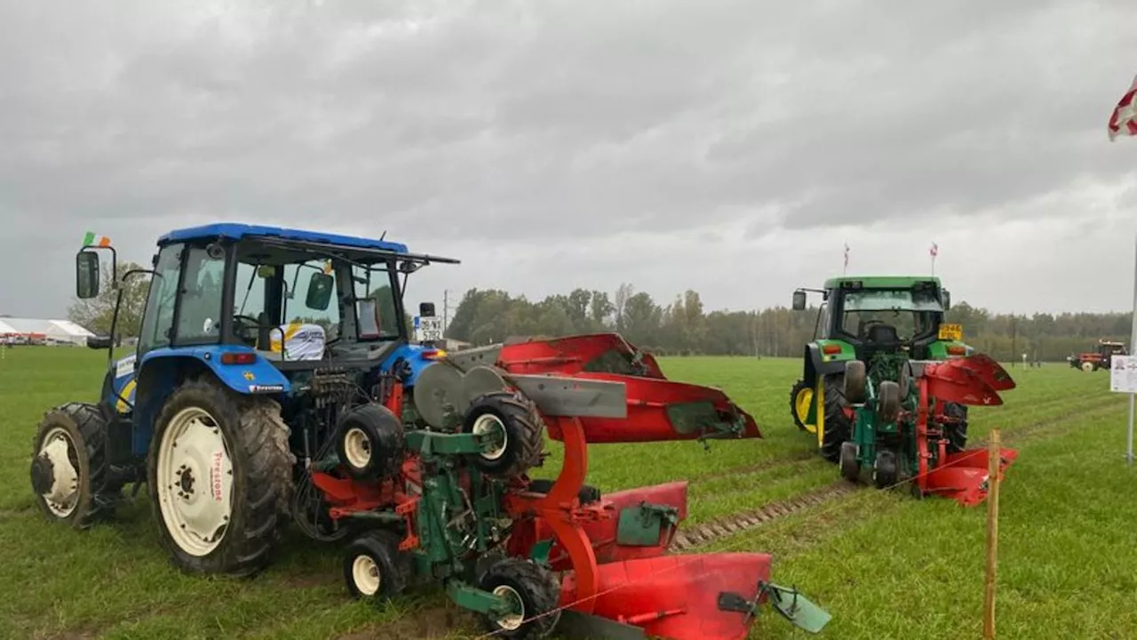 Deutsche Meisterschaft: Für die perfekte Furche - Pflüger im Wettkampf