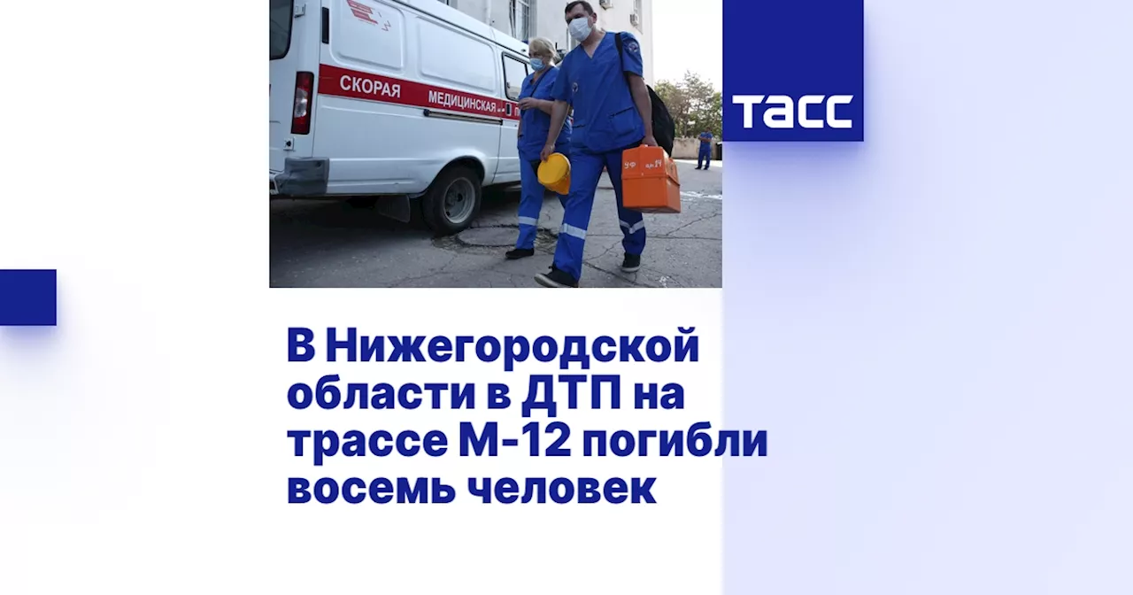 В Нижегородской области в ДТП на трассе М-12 погибли восемь человек