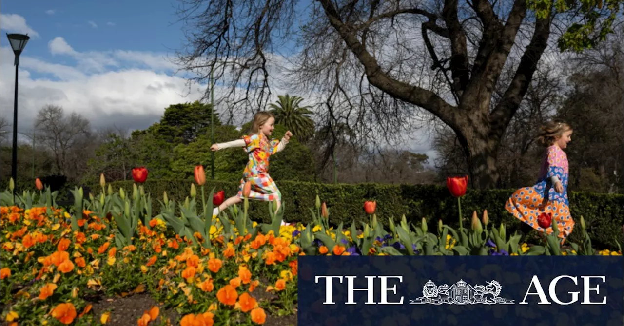 Melbourne in bloom: Where to see spring flowers in the city