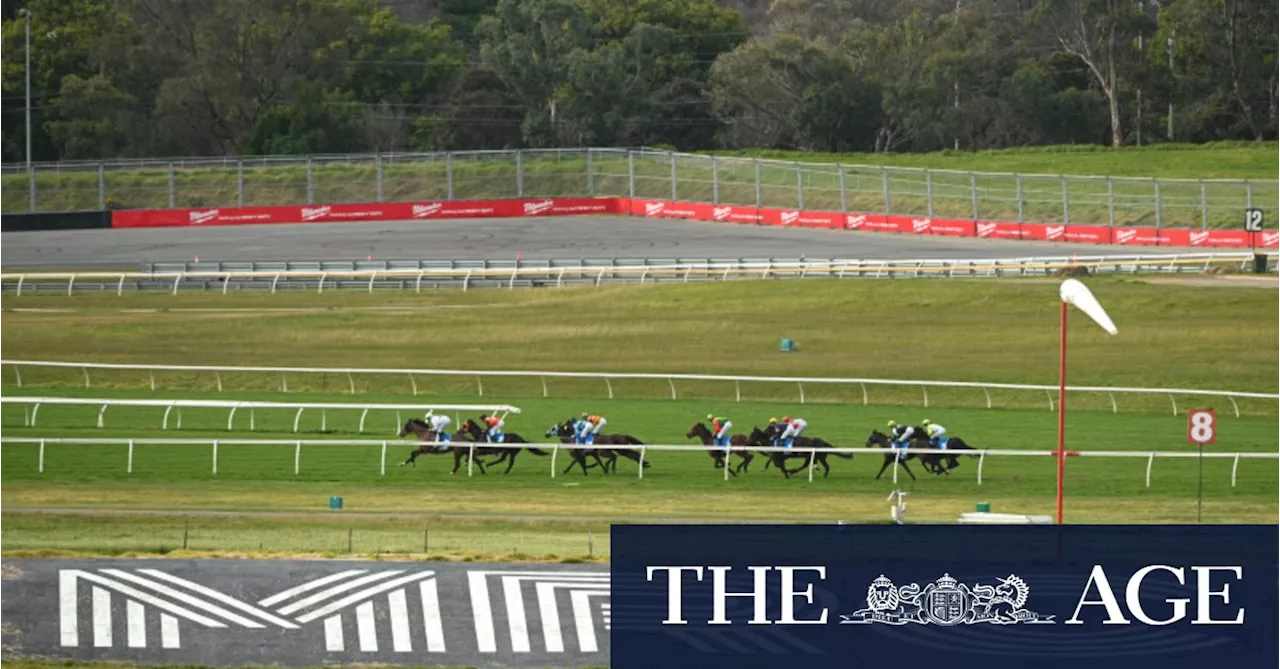 The safe word Melbourne Racing Club turns to when board meetings hit the rough