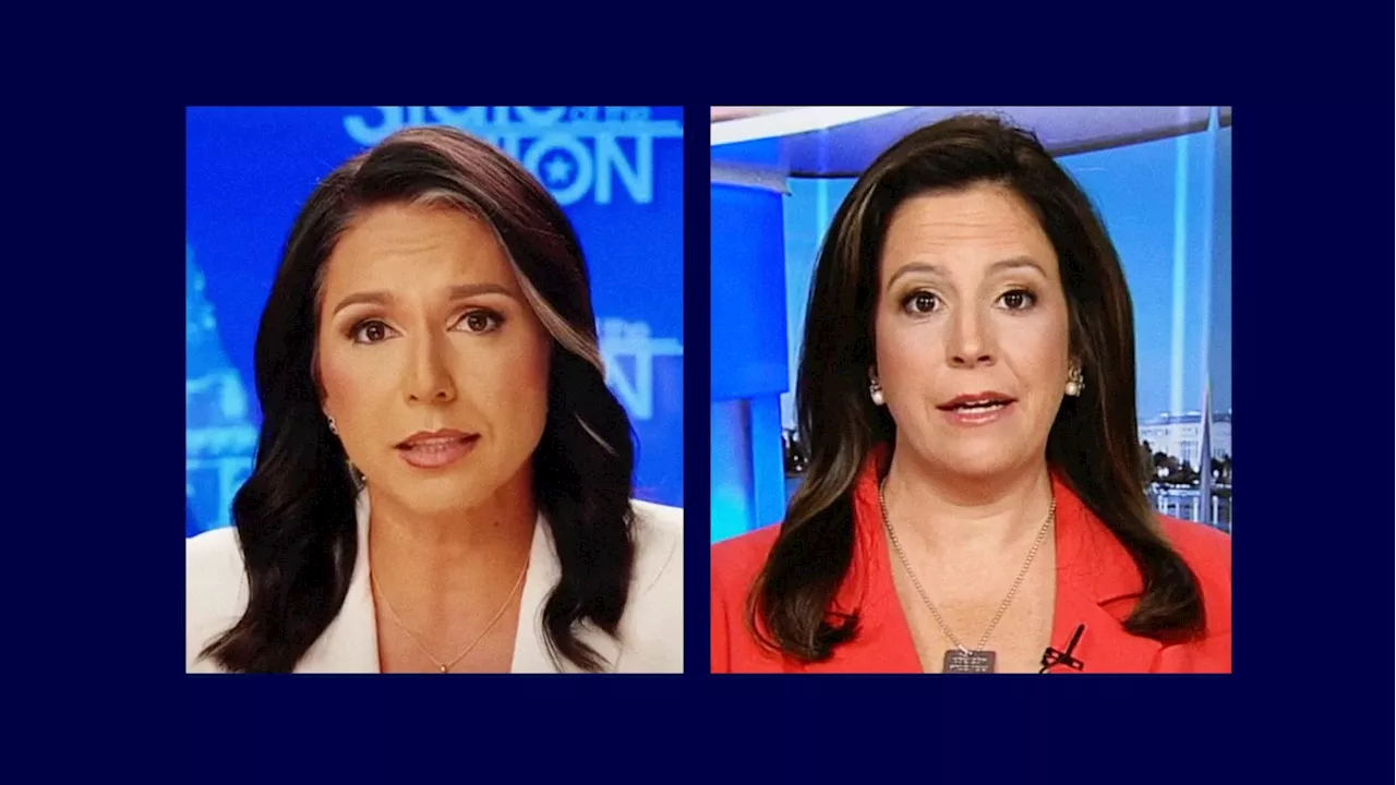 Trump Surrogates, Tulsi Gabbard and Elise Stefanik, Play Hardball As Arlington Controversy Rages On