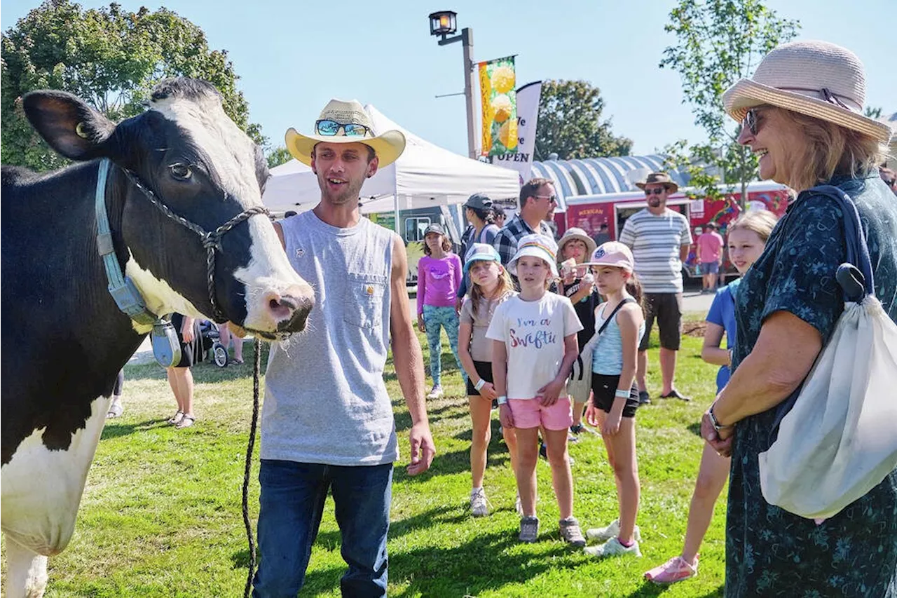 Amid the Saanich Fair festivities, signs of a shift in agriculture and 4-H