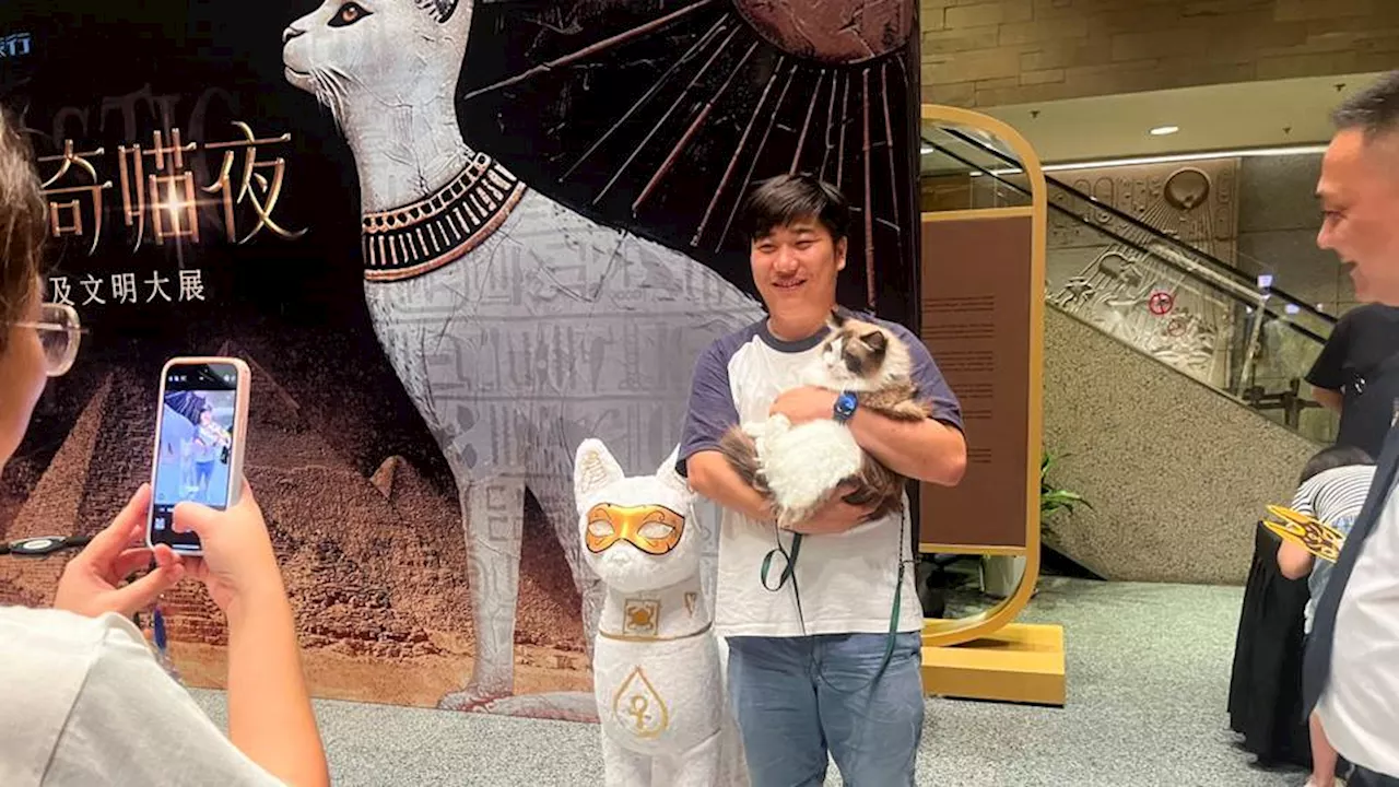 Shanghai Museum welcomes feline visitors to view Egyptian cat imagery