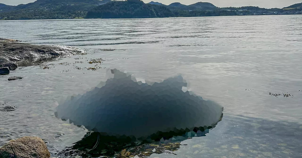 To menn funne døde i sjøen i Ryfylke