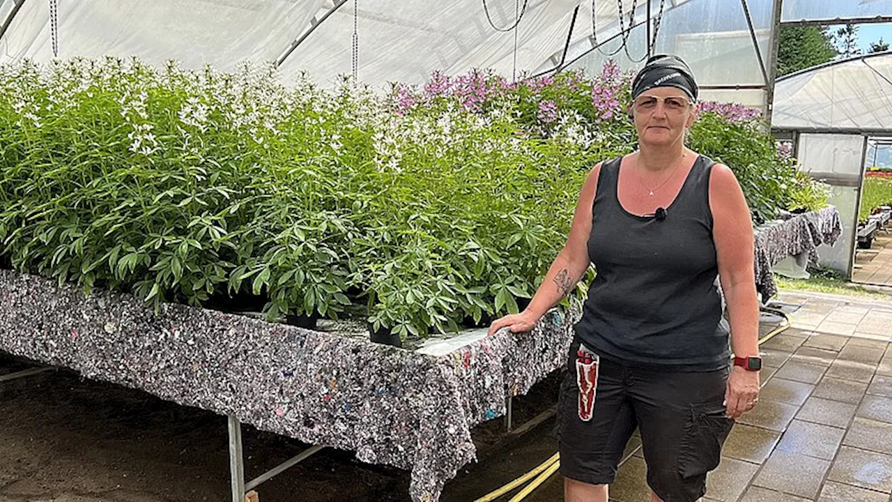 En blomstrende arbejdsplads: Henriette fremtryller blomster, efter hun skiftede karriere