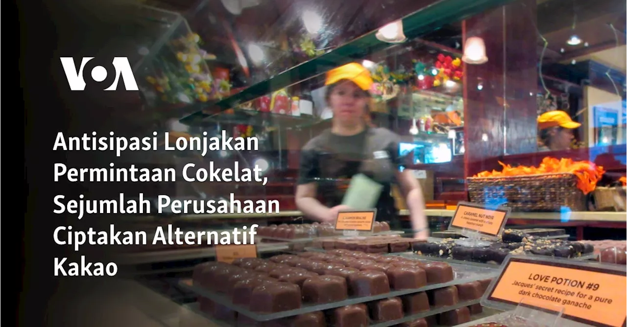 Antisipasi Lonjakan Permintaan Cokelat, Sejumlah Perusahaan Ciptakan Alternatif Kakao